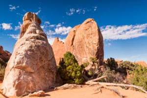USA, Utah, Arches National Park, Devils Garden, rock formations, trail USA, Utah, Arches National Park, Devils Garden, rock formations, trail